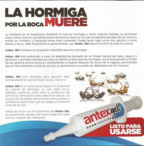 Antex Gel 30 Grs Insecticida Hormigas Cebo Envío Gratis