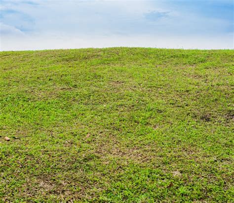 Beautiful Green Grass Field On Small Hill And Blue Sky Stock Image Image Of Land Beauty 97182861