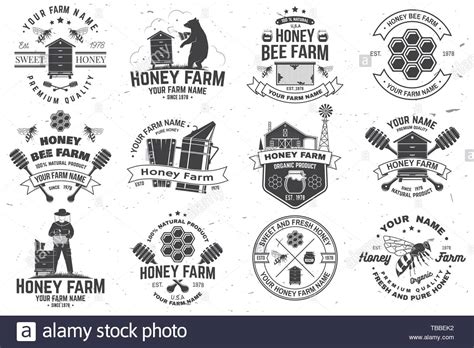 Set Of Honey Bee Farm Badge Vector Concept For Shirt Print Stamp Or