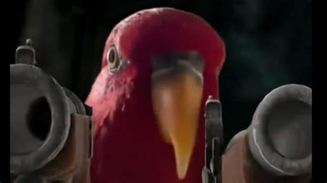 Red Bird Meme Compilation Youtube