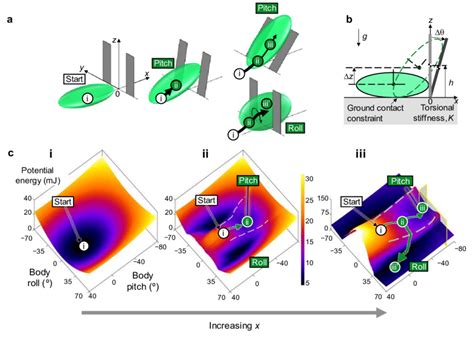 Figure S Locomotor Transitions On Potential Energy Landscape Of Beam