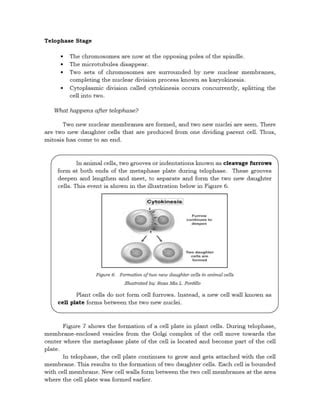 Deped Science Chromosomes Docx