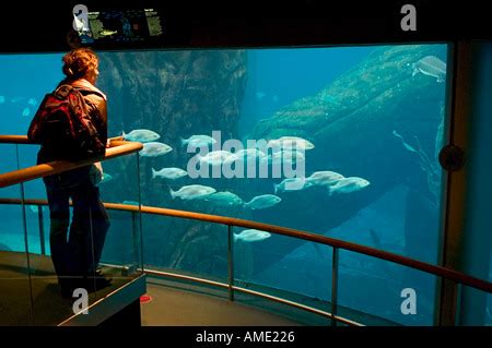 Inside the Biodome, Montreal, Quebec, Canada Stock Photo - Alamy