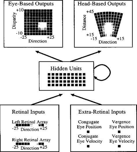 Figure 1 From A Model Of Visual Spatial Memory Across Saccades Semantic Scholar