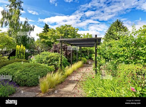 Inverness Botanic Gardens Scotland Wooden Pergola In The Garden With