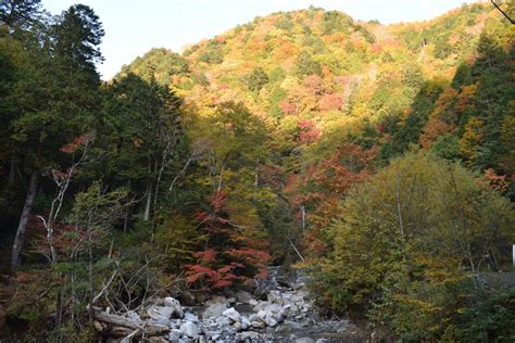 宮田高原＆黒川渓谷、秋の紅葉真っ盛りです♪ 信州みやだ観光ガイド 長野県宮田村・木曽駒ヶ岳の観光情報サイト