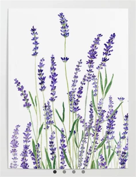 Lavender plant painting | Plant painting, Watercolor flower art ...