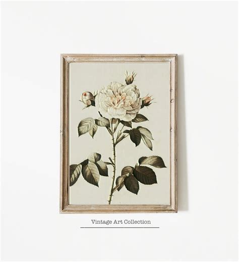 Druckbare botanische Kunst für Wohnkultur Vintage Blumen Kunstdruck