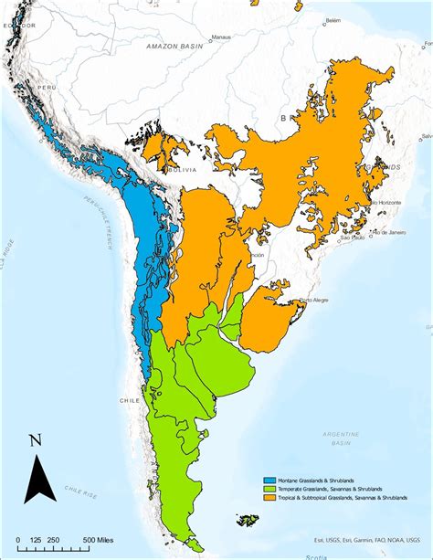 Temperate grassland ecosystems | Earth@Home: Evolution