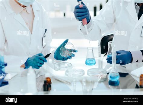 Microbiology Scientists Examining Bacteria In A Petri Dish Stock Photo