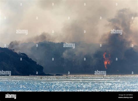 Fire Takes Hold Of The French Riviera Many Are Evacuated By Sea From