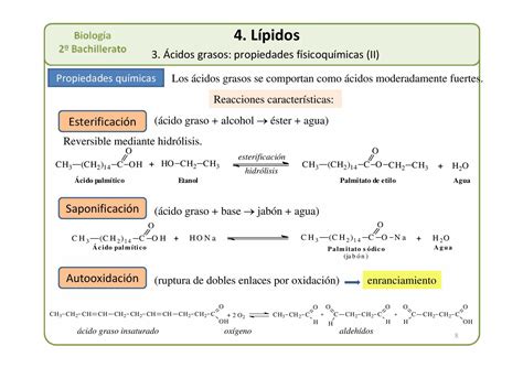 2º BAC AMPLIACION Presentacion T 04 Lipidos 2012 CALAMEO Downloader