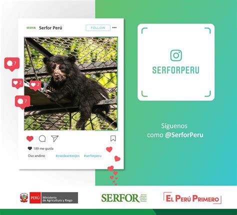 Repositorio Institucional Del SERFOR Siguenos En Instragram