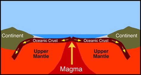 7th Grade - Plate Tectonics Flashcards | Quizlet