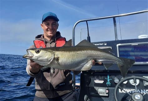 Le point sur les techniques de pêche du lieu jaune Peche et Poissons