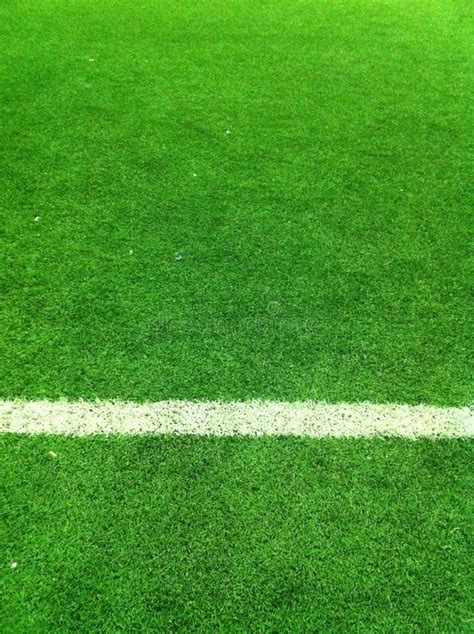 Football Court Green Grass. Stock Image - Image of green, grass: 51052429