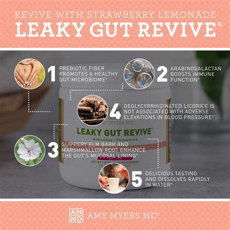 Dr Amy Myers Leaky Gut Revive Powder For Leaky Gut Repair L