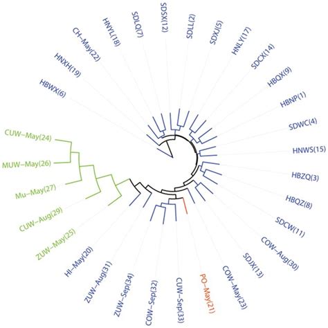 Consensus Neighbor Joining Tree Based On Genetic Distances Clades Are