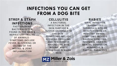 Infections You Can Get from a Dog Bite and Case Settlement Value ...