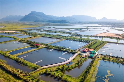 Aquaculture Is The Worlds Fastest Growing Food Sector •