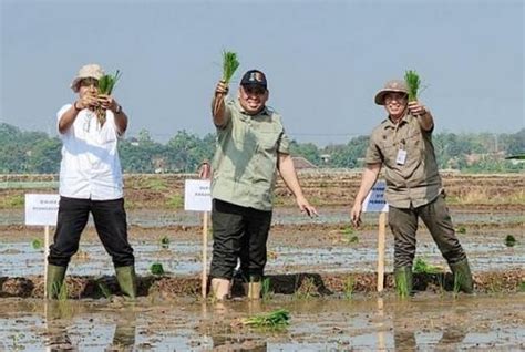 Kementan Mulai Tanam Padi Di Karawang Kejar Target Produksi Beras