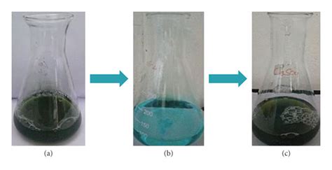 Visual Observation Of Synthesis Of Copper Nanoparticles A Leaf