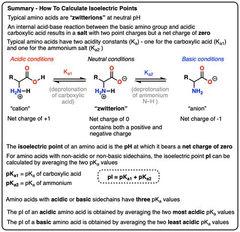 Acidic Amino Acids List