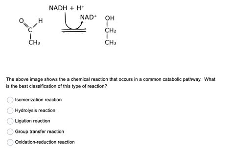 Solved The above image shows the a chemical reaction that | Chegg.com