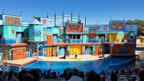 Sea Lion High Show At Seaworld San Antonio Mardi Gras 2021 4k Youtube