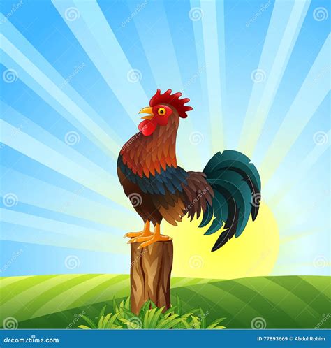 Crowing Cartoons Illustrations Vector Stock Images 996 Pictures To