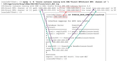 Dnfs And Network Verification Checks Dell Powerstore Oracle Best