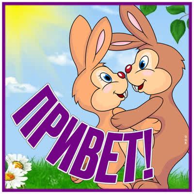 Картинки Привет