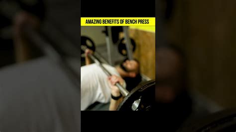 Amazing Benefits Of Bench Press Exercise Shorts Youtube