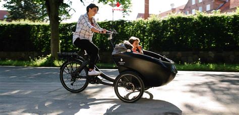 Bicicletas De Carga Familiares Beebike