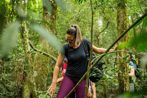 Full Day Hike Through Secret Waterfalls In Foz Do Igua U