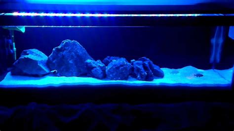 Cichlid Aquarium Led Lighting