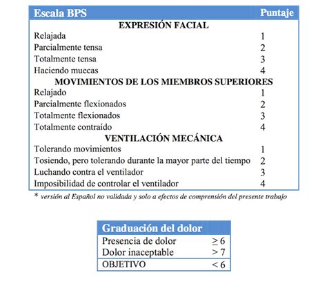 Lanadolor Escalas Valoración Del Dolor En Paciente De Uci Unidad De