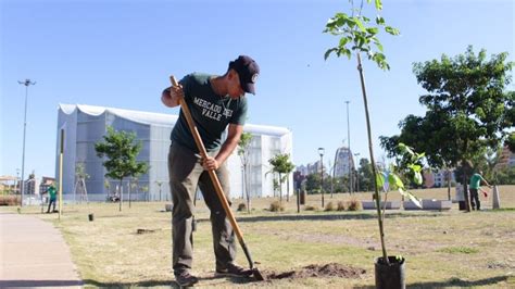 C Rdoba La Municipalidad Habr A Pagado Cuatro Veces M S Por Los