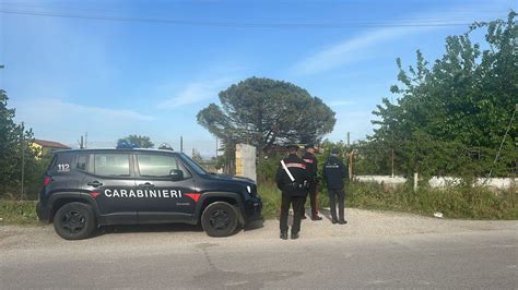 Bimbo Di 13 Mesi Attaccato E Ucciso Da Due Pitbull Tragedia A Eboli