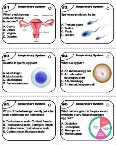 Reproductive System Task Cards Human Body Systems Task Cards Teaching Resources