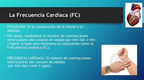 Frecuencia Cardiaca Pulso