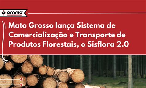 Mato Grosso Lan A Sistema De Comercializa O E Transporte De Produtos