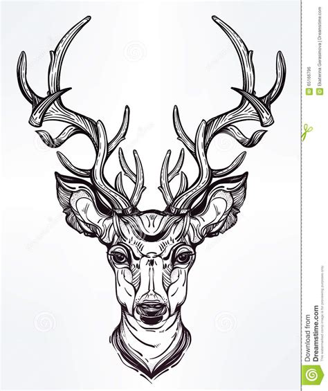 Deer Face Drawing at PaintingValley.com | Explore collection of Deer ...