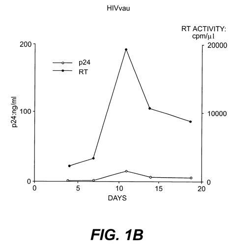 Nucleotide Sequences Of HIV 1 Type Or Subtype O Retrovirus Antigens