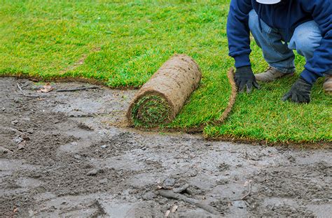 Sod Installation Expert Springfield Mo Earthworks Gardens