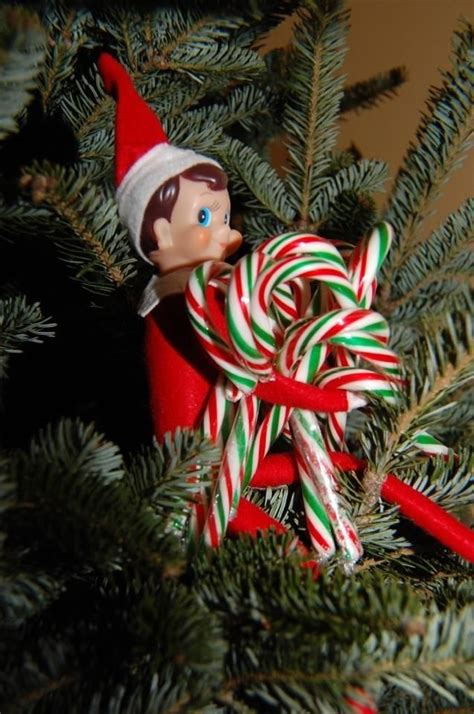 Elf Putting Candy Canes On The Tree Christmas Elf Xmas Elf Elf On The Shelf