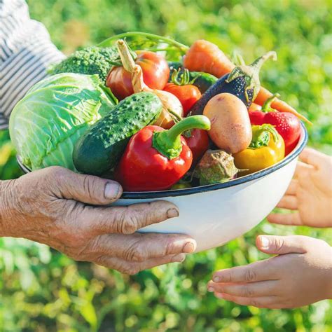 Rheuma Ernährung Richtig essen Entzündungen stoppen Rheuma