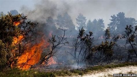 Ashdown Forest Fire Spreads In Winnie The Pooh Woods Bbc News