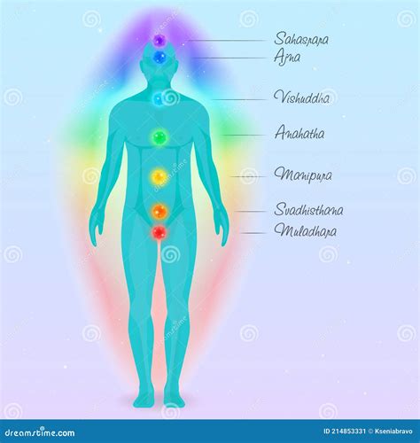 Energy Centers Of The Human Chakras Stock Vector Illustration Of