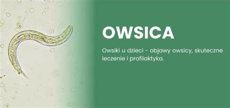 Owsiki U Dzieci Objawy Owsicy Skuteczne Leczenie I Profilaktyka